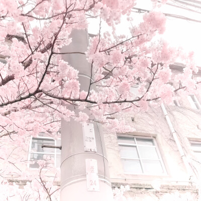 從那一刻的心動開始(隠しきれない好き^reasons