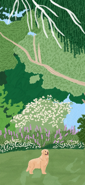 夏天
图片来自网络，侵删