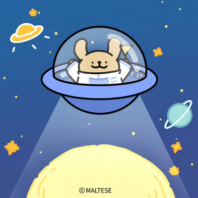 小狗全宇宙