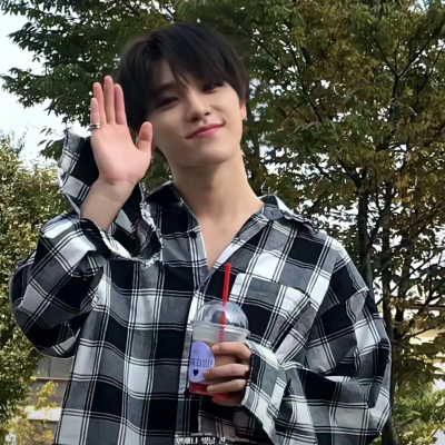 SEVENTEEN-李灿dino