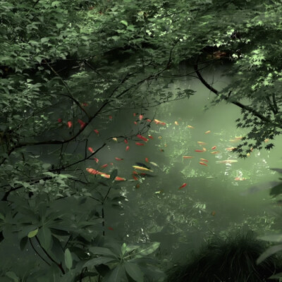  发霉的猫猫雨 生锈的你(៸៸᳐⦁⩊⦁៸៸᳐ )੭