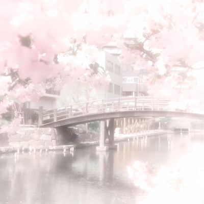 大家都来看深情眼