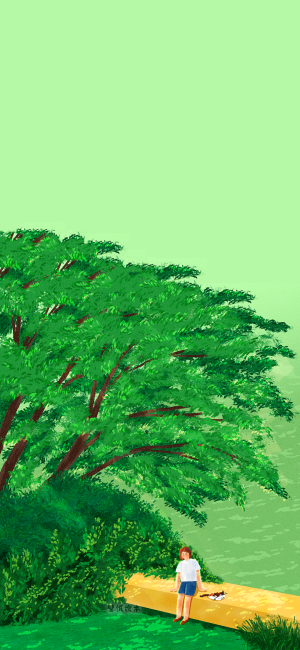 夏天
图片来自网络，侵删