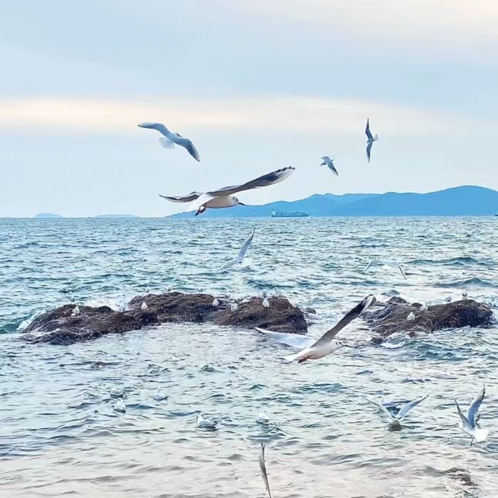 Sing it to you forever-随身听...