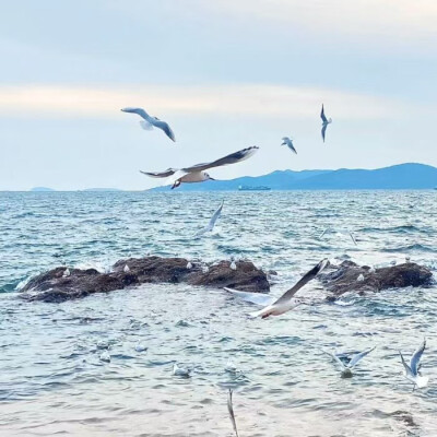 Sing it to you forever-随身听...