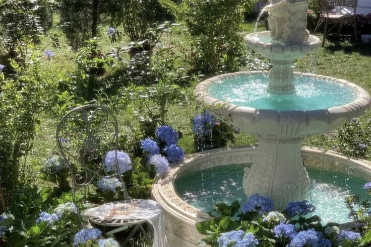 La nuvola della corte