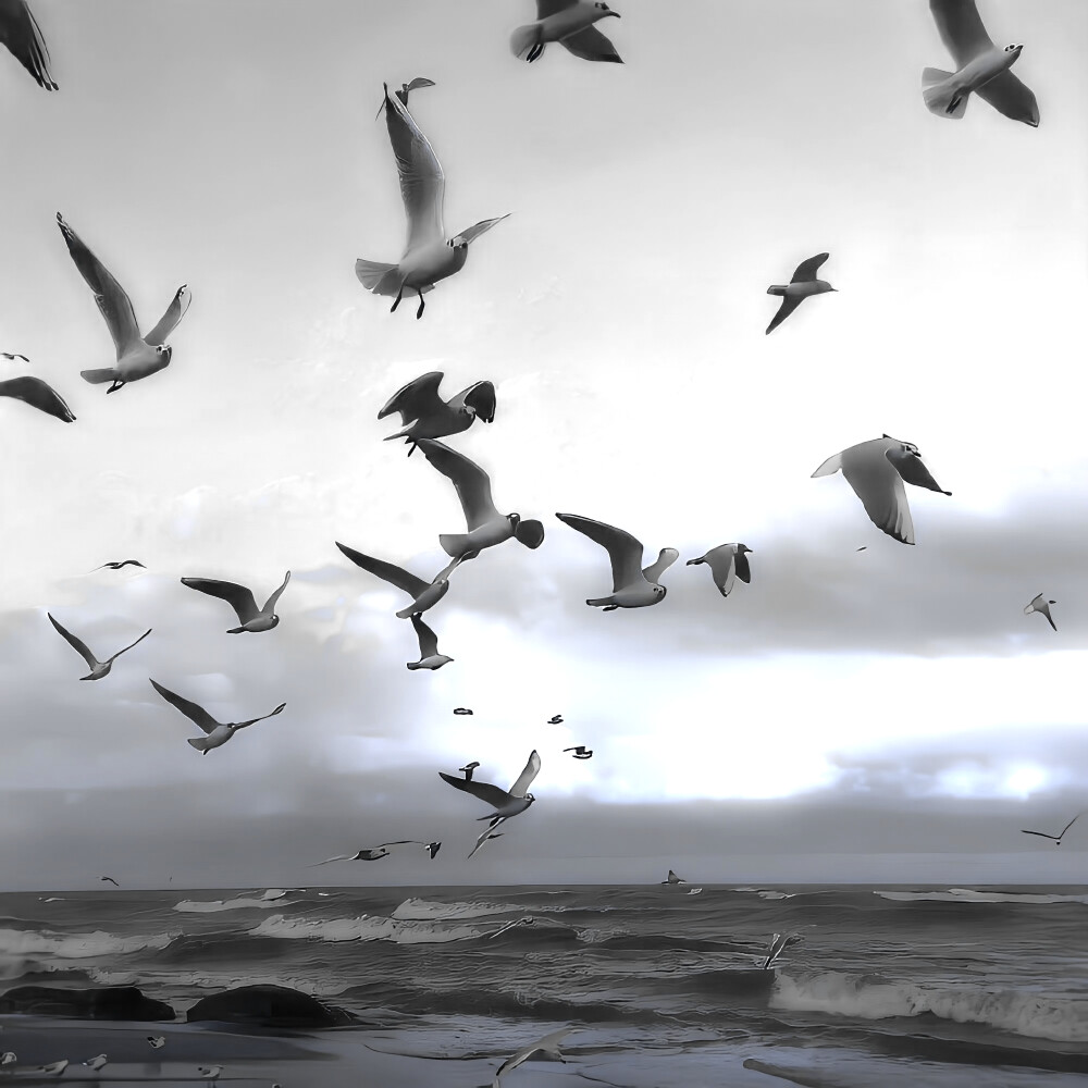 是谁被椰颂老师抽到了？哦！原来是我这个小阔耐！哈哈哈哈哈哈哈！接下来，我将上才艺！我给大家高歌一曲，以表我的兴奋之情！好运来祝你好运来！好运来带来了喜和爱！好运来祝你好运来…好了不会了…但是真的！很兴奋！！！