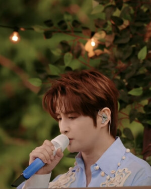 亮哥 猫猫  远远