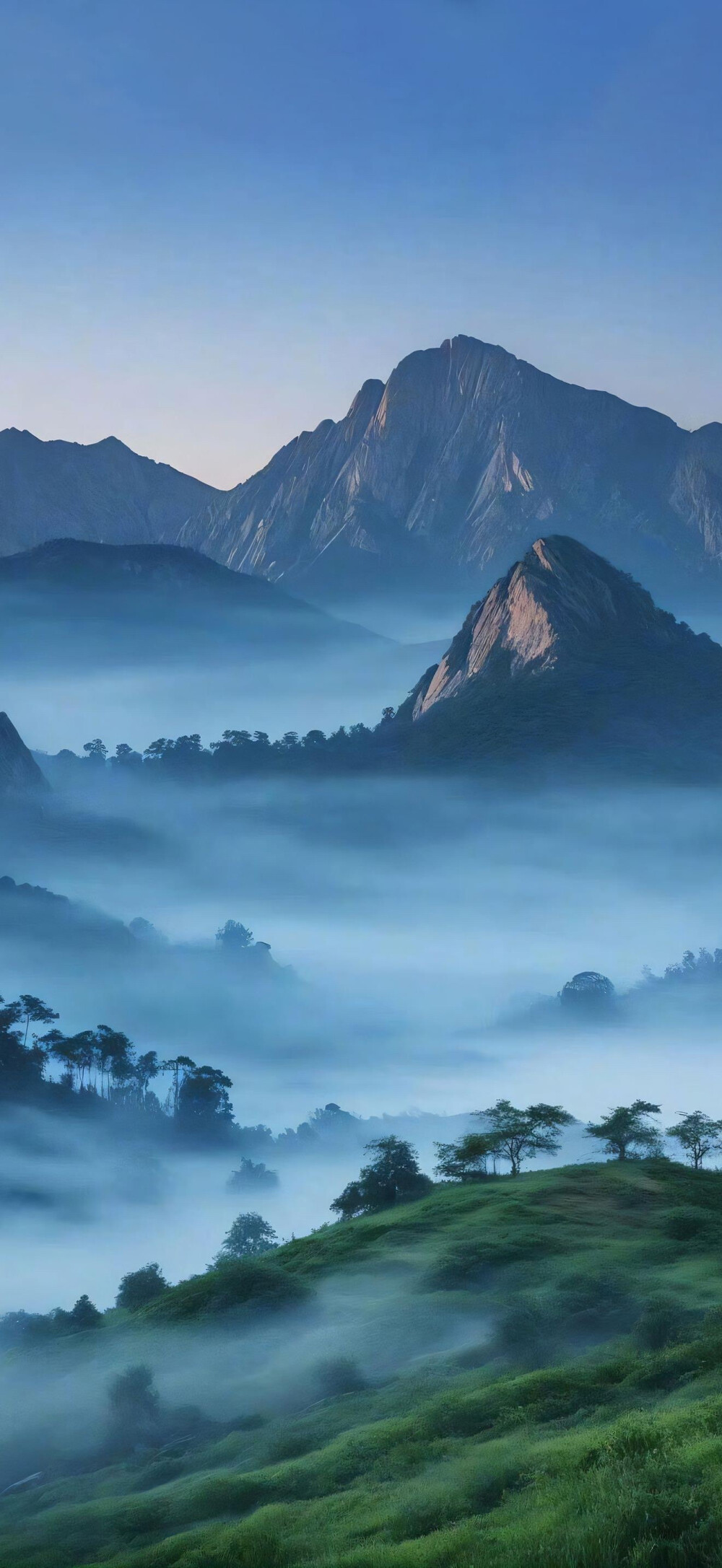 风景