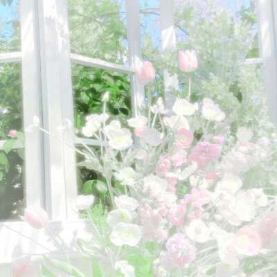 预知∥…爱の花期、姉はランの花がことのほか好きだ.