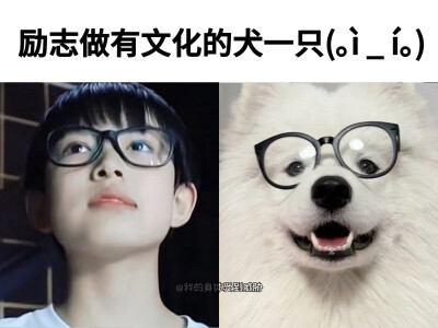 一个冰淇淋加一个冰淇淋就是好多冰淇淋