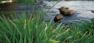 花开花落 无限寂寞 思念太寥廓