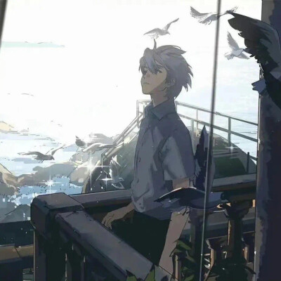 侵删