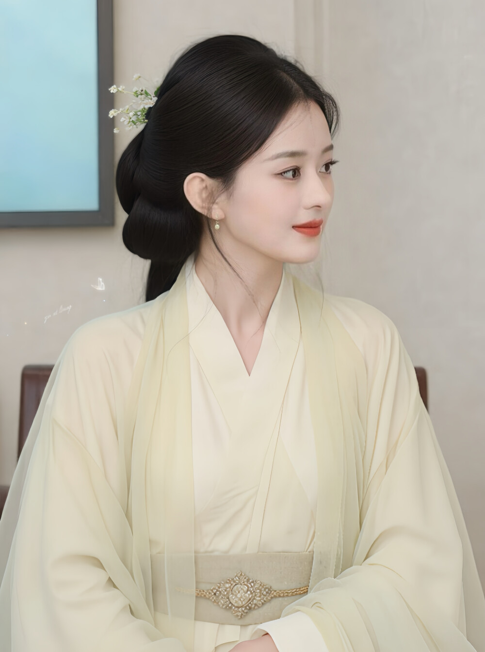 赵丽颖