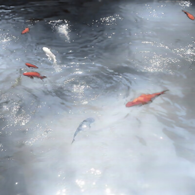 画船听雨眠
