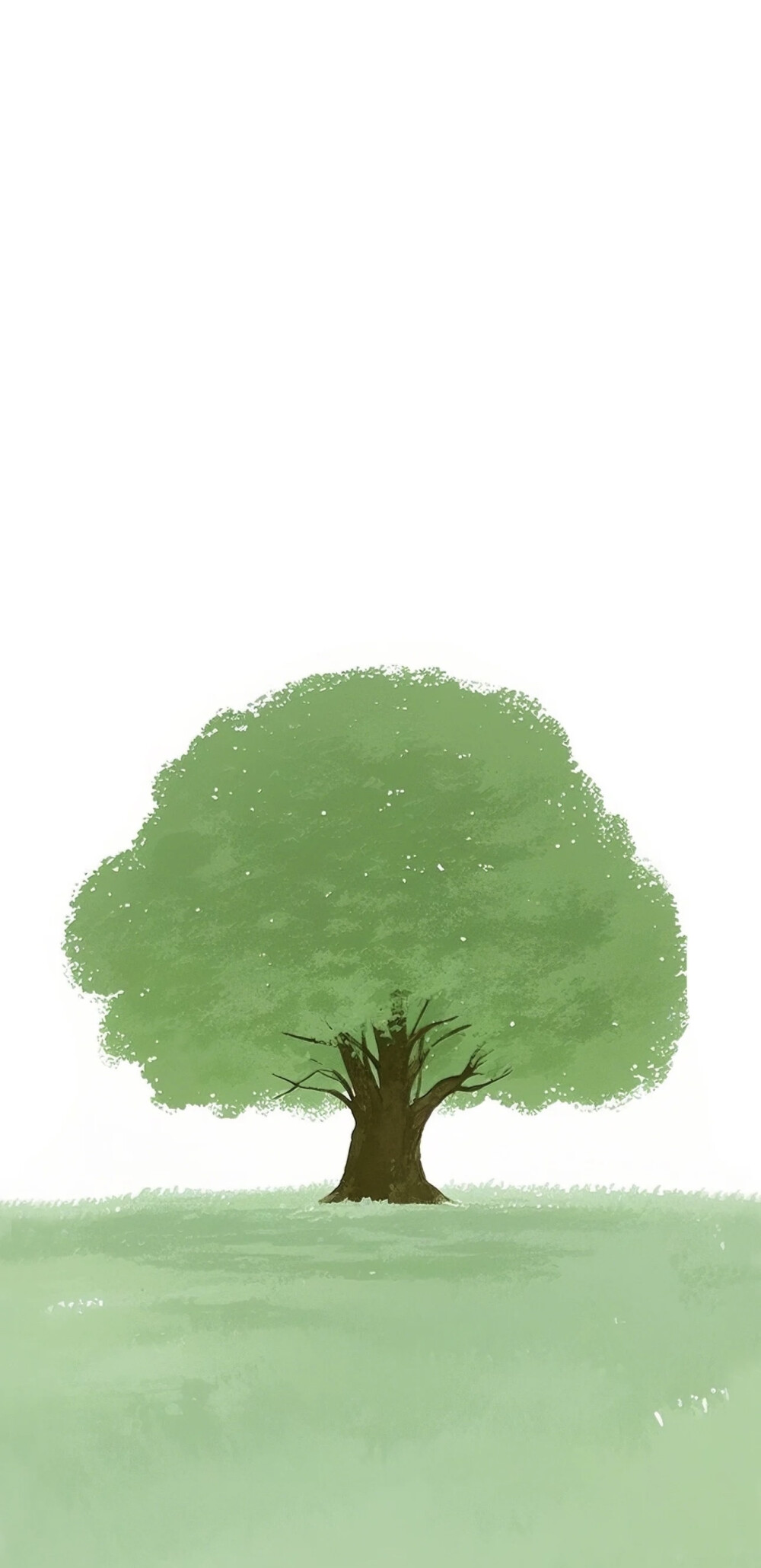 壁纸