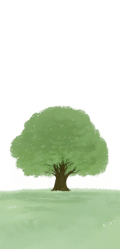 壁纸