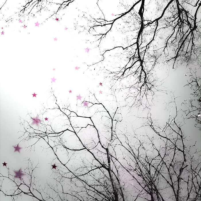 
姐姐好美（踢走其他小狗）（跑道面前摇尾巴）（又有其他小狗来）（和其他小狗打架）（踢走其他小狗）（满身伤痕摇尾巴）