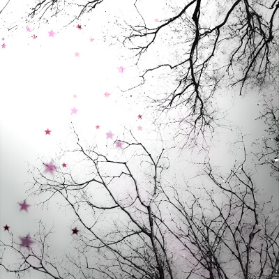 
姐姐好美（踢走其他小狗）（跑道面前摇尾巴）（又有其他小狗来）（和其他小狗打架）（踢走其他小狗）（满身伤痕摇尾巴）