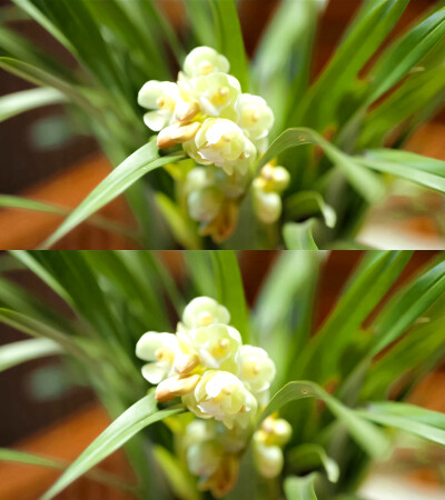 陈都灵 冯衡
cr：虚无野寺