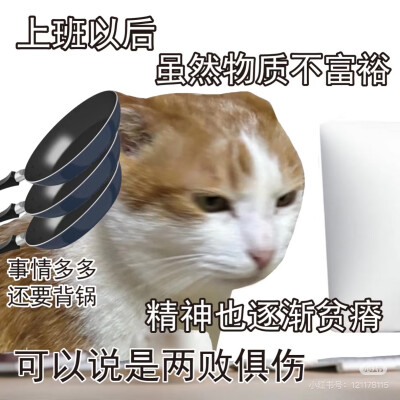 嘿嘿