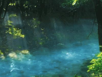 花开花落 无限寂寞 思念太寥廓