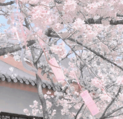 기억:Onda di calore咸涩…시간''海水