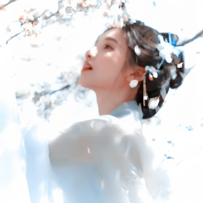 时菁的图 ʕ•ᴗ•ʔ