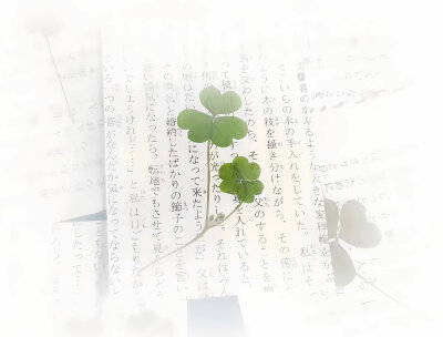 绿色系四叶草背景图
