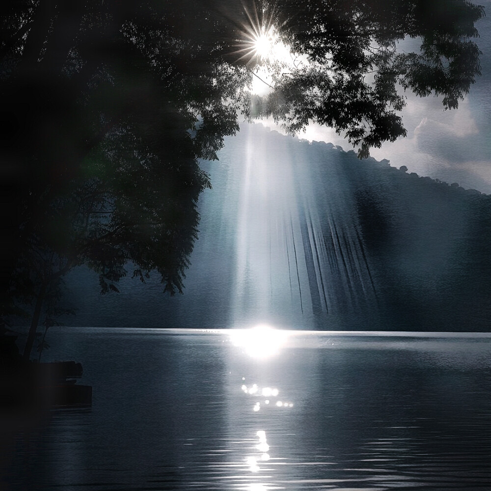 我是木讷的树 你吹过我就沙沙作响 你问我为什么从不回应你的心意 你不知道我愿意化作落叶随你远去 碾落成泥