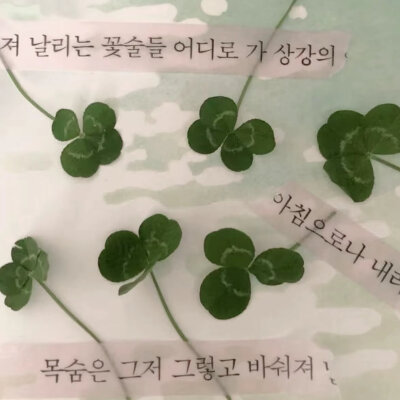 绿色系四叶草背景图