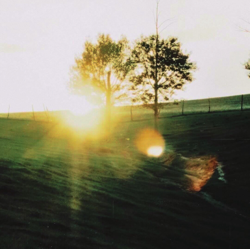 ： “我無法用文字來形容你的遙遠和清冷，你不說話，就好像在我的心裡下了一場雪。”
