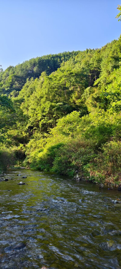 山里