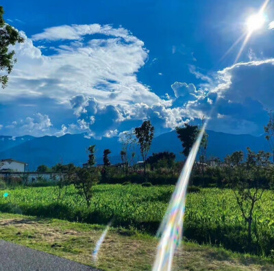 蓝色 背景图