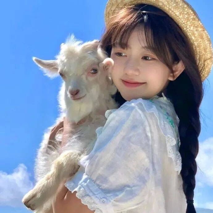 影子向玫瑰献忱落日与夕阳亲抚迟暮