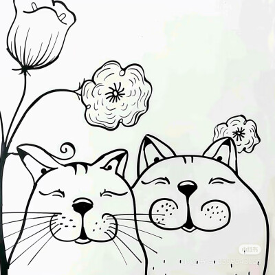 猫咪