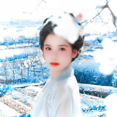 时菁的图 ʕ•ᴗ•ʔ