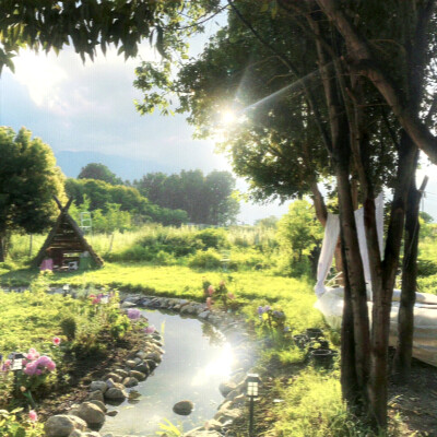 见信好 我们会在春天相见的