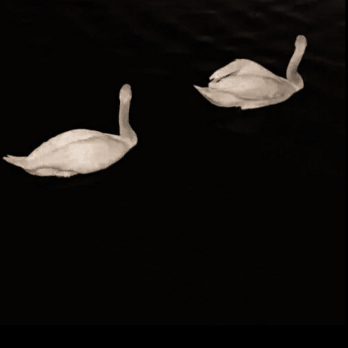 流转在你眼眸 白鹿