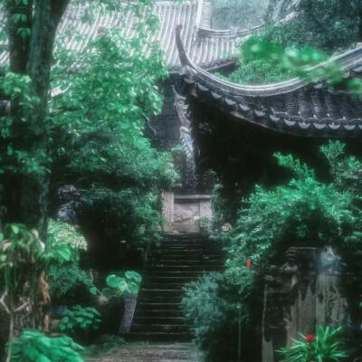 霸道祝衿又宠我了@Jinzyyy
