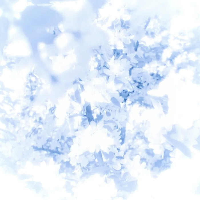 让我们都变成幸福大王☃!!