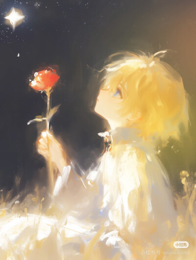 小王子