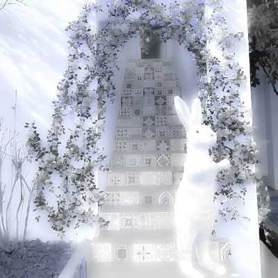 时菁的图 ʕ•ᴗ•ʔ