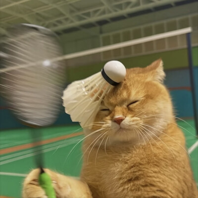 情头