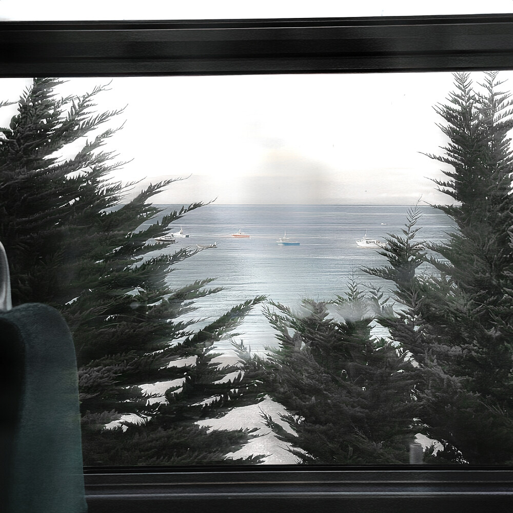 我是木讷的树 你吹过我就沙沙作响 你问我为什么从不回应你的心意 你不知道我愿意化作落叶随你远去 碾落成泥