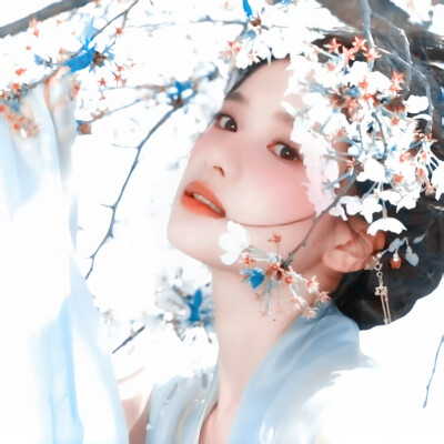 时菁的图 ʕ•ᴗ•ʔ