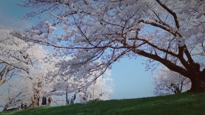 背景