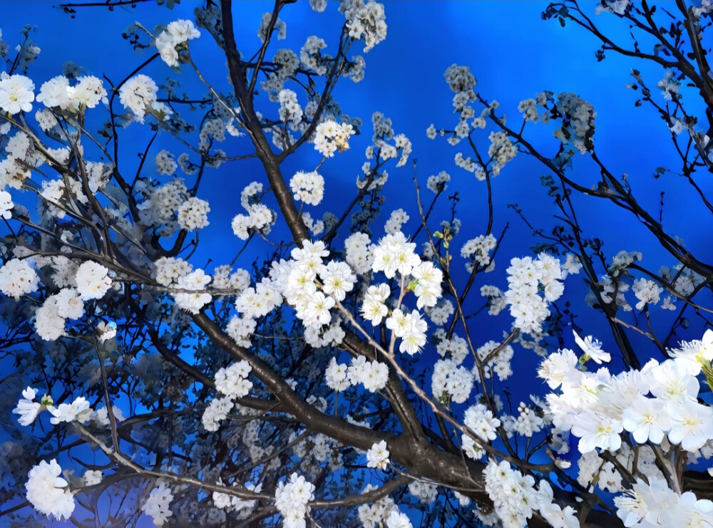 蓝色 背景图