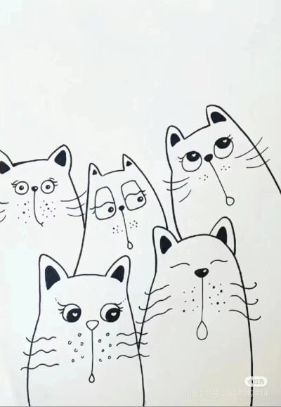 猫咪