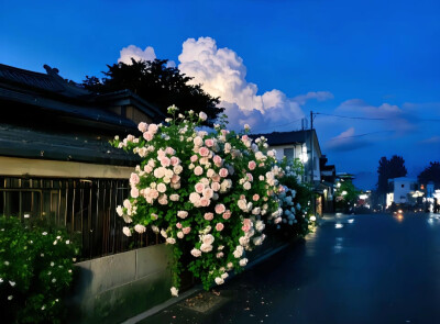 蓝色 背景图